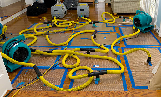 Professional Basement Flood Cleanup technician working in Homer Glen, IL